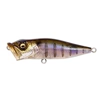 Amazon.co.jp: メガバス(Megabass) ルアー POP-X GG チャートバック